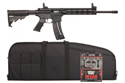 Smith and Wesson M&amp;P15-22 Sport 22 LR